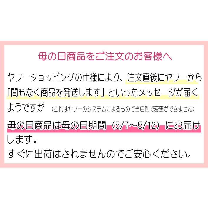 ★【ポイント5倍】★ 母の日限定 胡蝶蘭 ミディ〜中大輪 ３本立 27輪以上 ラッピング付き 送料無料 ギフト プレゼント 2024 花 鉢花 鉢植え [r-m2024-C]｜ranbo｜15