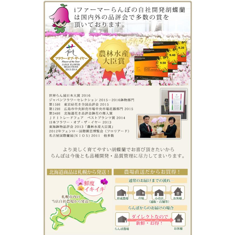 【北海道宛専用】【2026母の日限定】 水分計サスティー付♪ 花色選べる胡蝶蘭 ミディ〜中大輪３本立 27輪以上 ラッピング付 送料無料 ギフト 鉢花 [r-m2026-CS]の画像