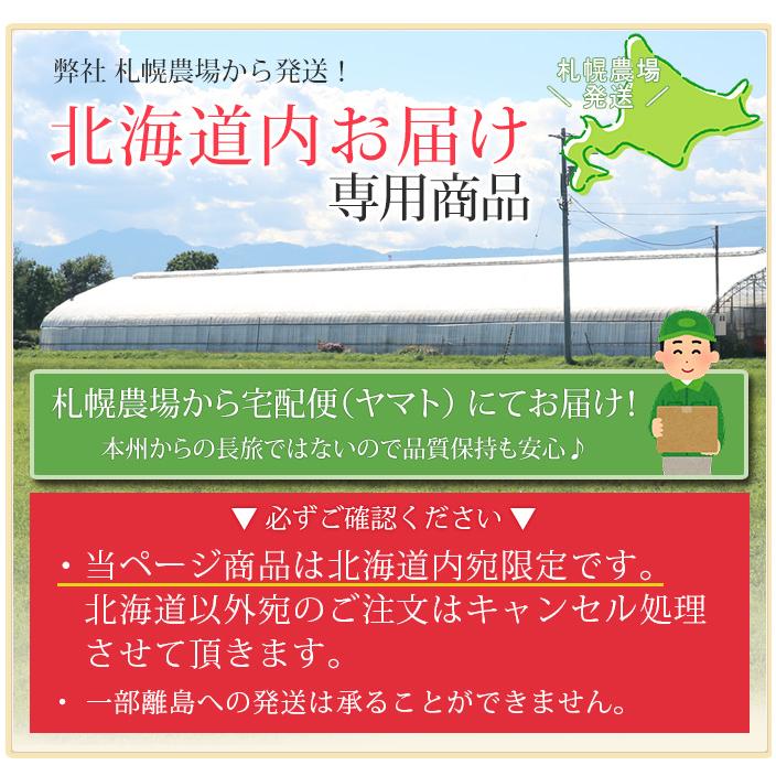 【北海道宛専用】【2026母の日限定】 水分計サスティー付♪ 花色選べる胡蝶蘭 ミディ〜中大輪３本立 27輪以上 ラッピング付 送料無料 ギフト 鉢花 [r-m2026-CS]の画像