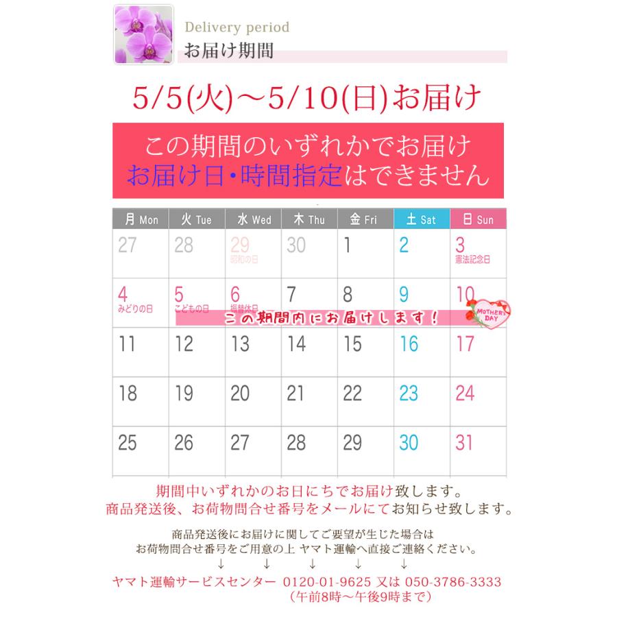 【北海道宛専用】【2026母の日限定】 水分計サスティー付♪ 花色選べる胡蝶蘭 ミディ〜中大輪３本立 27輪以上 ラッピング付 送料無料 ギフト 鉢花 [r-m2026-CS]の画像