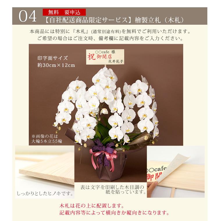 東海３県 愛知 岐阜 三重 宛 限定 胡蝶蘭 白大輪 7本立ち 安心の自社配送 木札 ラッピングサービス R Tokubetu7 Fw R Tokubetu7f Fw 胡蝶蘭専門農園 Iファーマーらんぼ 通販 Yahoo ショッピング