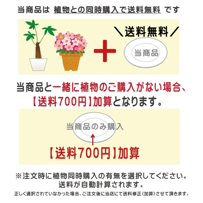 日本香堂 お線香 『二種香 雪月花』 お線香とローソクのセット 御供 お