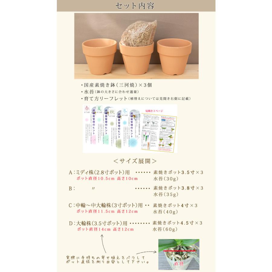 ３株分 自分で育てる楽しみ 胡蝶蘭用 植替えセット 胡蝶蘭の育て方リーフレット付 自分で植え替え G Uekae02 Z Uekae02 胡蝶蘭専門農園 Iファーマーらんぼ 通販 Yahoo ショッピング