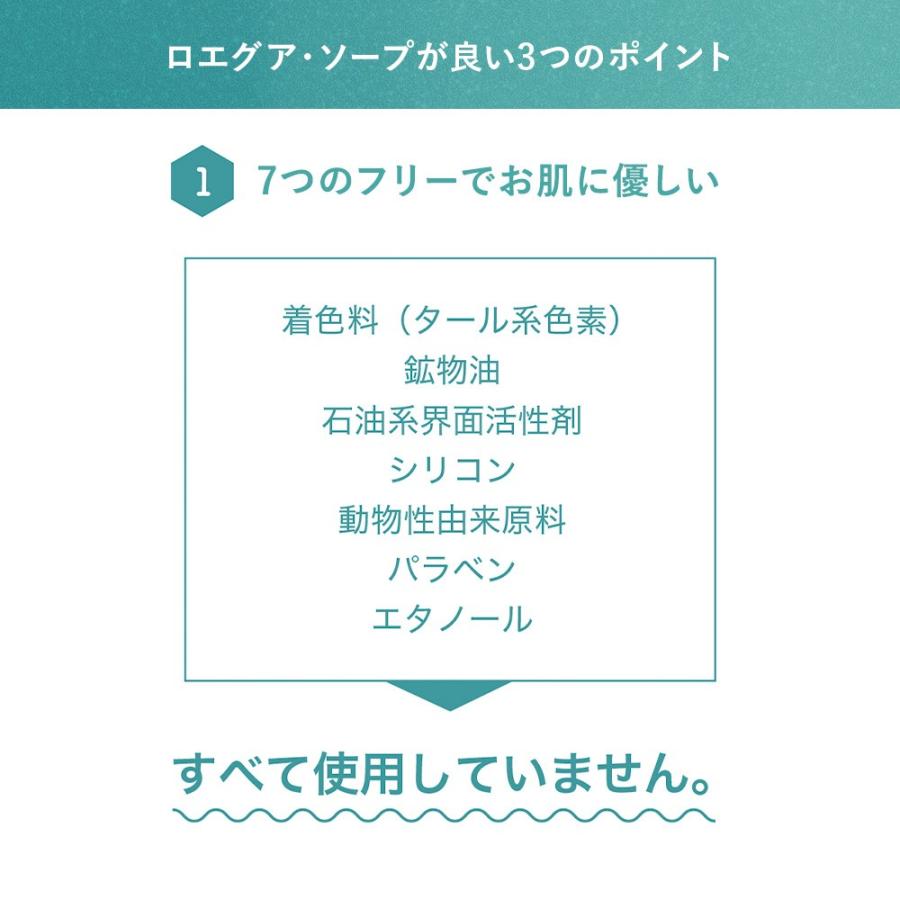 ワキガ 体臭 石鹸 脇汗 汗臭 消臭 ロエグア デオドラント ソープ 加齢臭 足臭 日本製 医薬部外品 80g｜randg｜07