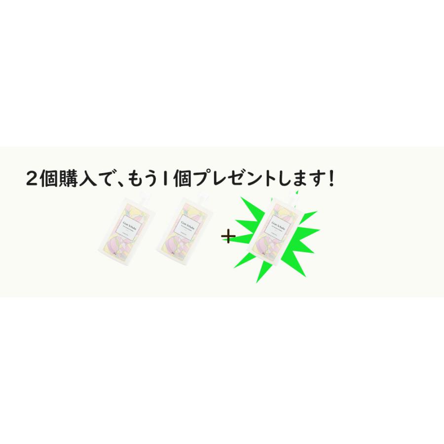 靴消臭 パウダー 靴 悪臭 消臭 粉 グランシューエ 靴消臭粉 ブーツ 職場の靴 足の臭い 携帯 ひとふり 日本製 30g｜randg｜11