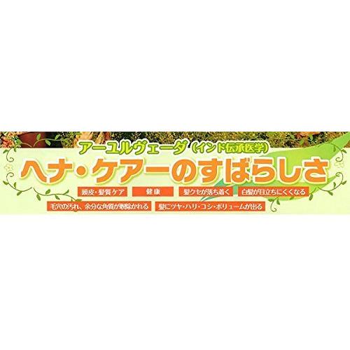 正規販売店 IPM リーフ ヘナとインディゴ 2個セット 200g 送料無料