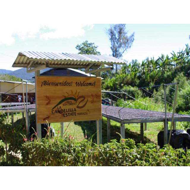 コスタリカ　ラ・カンデリージャ　ハニー　100g | 