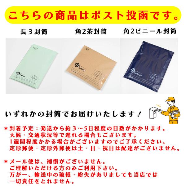 すこやかネイルトリマーZan ピコックタイプ 廣田工具製作所 ペット用爪切り 猫 巻き爪 まき爪 日本製 イヌ 犬 ネコ 小動物 メール便 送料無料 :040223-zanpico:生活便利雑貨ランクアップ - 通販 - Yahoo!ショッピング すこやかネイルトリマーZan ピコックタイプ 廣田工具製作所 ペット用爪切り 猫 巻き爪 まき爪 日本製 イヌ 犬 ネコ 小動物 メール便 送料無料 :040223-zanpico:生活便利雑貨ランクアップ - 通販 - Yahoo!ショッピング