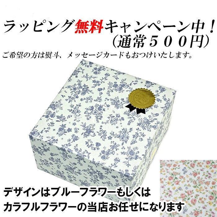 鉄の健康鯛プレゼント ラッピング・のし無料  南部鉄器 鉄瓶 急須 ih 日本製 0.65L 5型 新アラレ IH対応 正規品 岩鋳 鉄分 鉄器急須 還暦 退職 定年 | 岩鋳 | 01
