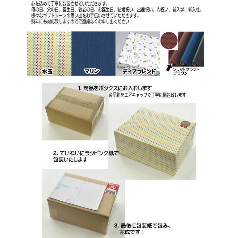 ラッピング・のし無料 南部鉄器 鉄瓶 急須 0.65L 5型 新アラレ IH対応 釜敷 丸アラレ IH 日本製 直火 鉄器急須 岩鋳 保温 鉄分 母の日 還暦 父の日 | 岩鋳 | 15