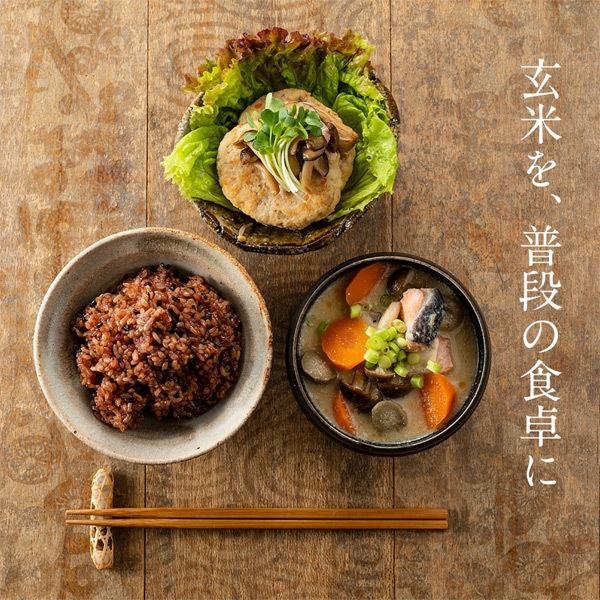 寝かせ玄米・黒米ブレンド24食 結わえる 国産 無添加 寝かせ玄米 便利