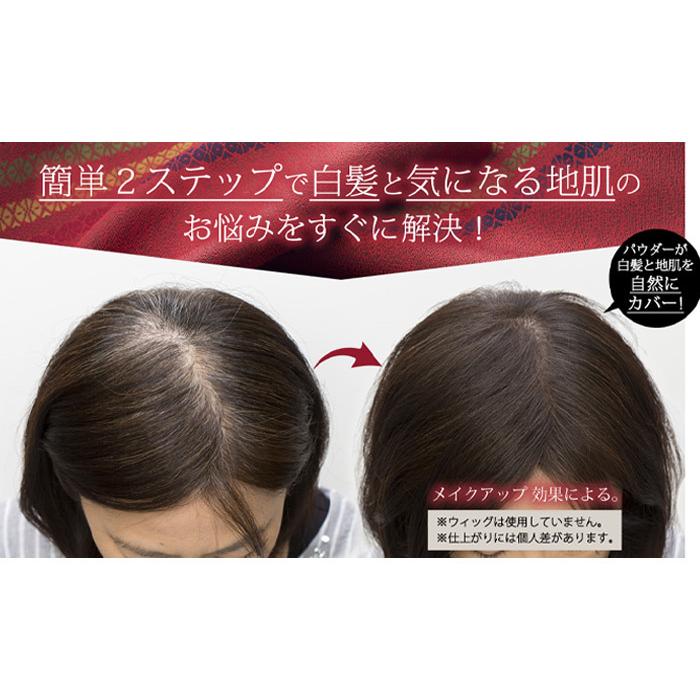 白髪隠し 白髪かくし 極 白無 日本初パフー体型 固形パウダー コンパクト 簡単カバー 生え際 ポイント 薄毛カバー ボリュームアップ 美容成分配合 送料無料 Ts 0930 生活便利雑貨ランクアップ 通販 Yahoo ショッピング