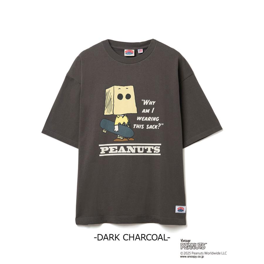 ステューシー150 スヌーピーコラボTシャツ スケートsk8 Tシャツ２点 PEANUTS スケートボード ビッグ 半袖 Tシャツ NUTMEG ダブルーネーム