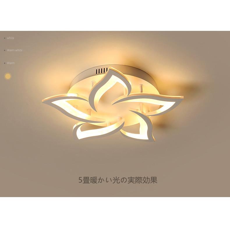 LEDシーリングライト LEDライト 室内 寝室 部屋 照明器具 天井 北欧 おしゃれシーリングライト花形 シーリングライト ARZM-0055の画像