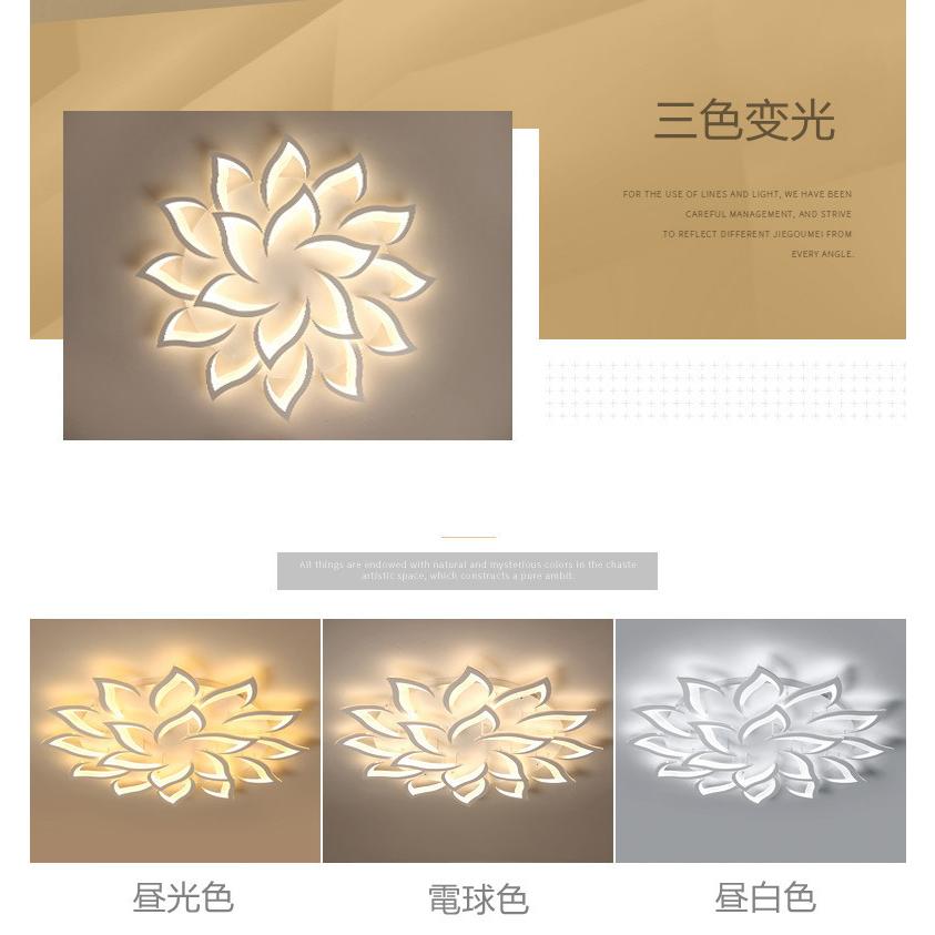 LEDシーリングライト LEDライト 室内 寝室 部屋 照明器具 天井 北欧 おしゃれシーリングライト花形 シーリングライト ARZM-0055の画像