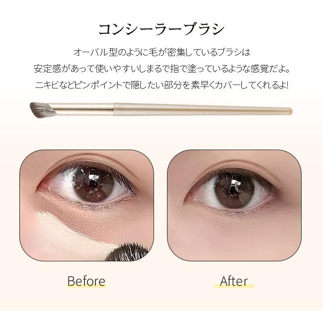 メイクブラシセット 13本セット アイシャドウブラシ メイクブラシ 収納