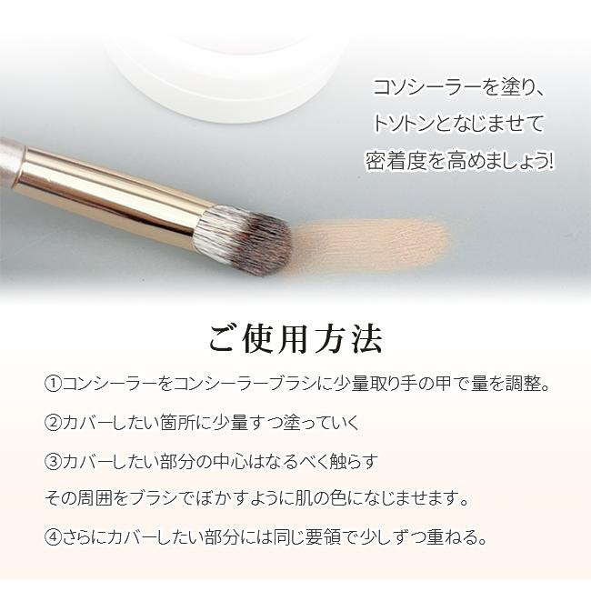 2点20％off】メイクブラシセット 13本セット アイシャドウブラシ