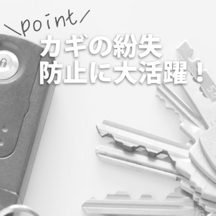 キーホルダー オール チタン 丸型 カラビナ おしゃれ キーチェーン 鏡面仕上 紛失防止 |  | 07