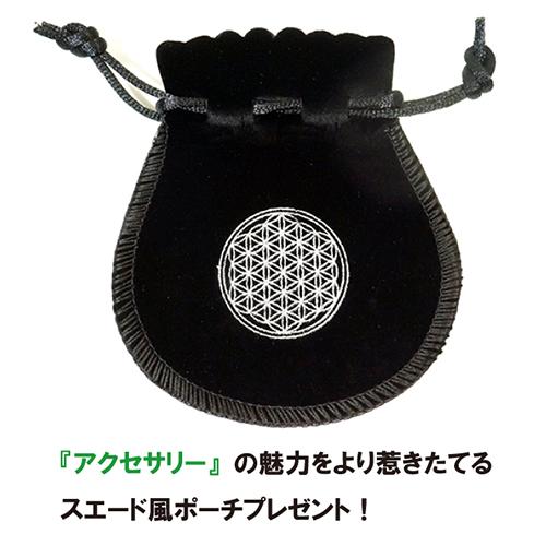 ギベオン隕石 六芒星（ダビデの星） 高品質シルバー ペンダントトップ