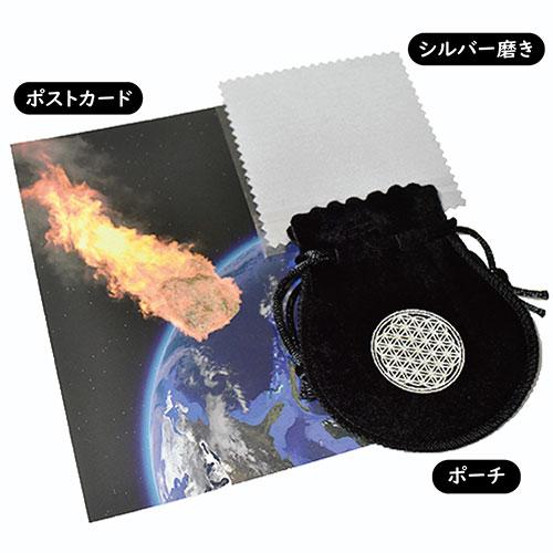 ギベオン隕石 六芒星（ダビデの星） ステンレス ペンダントトップ