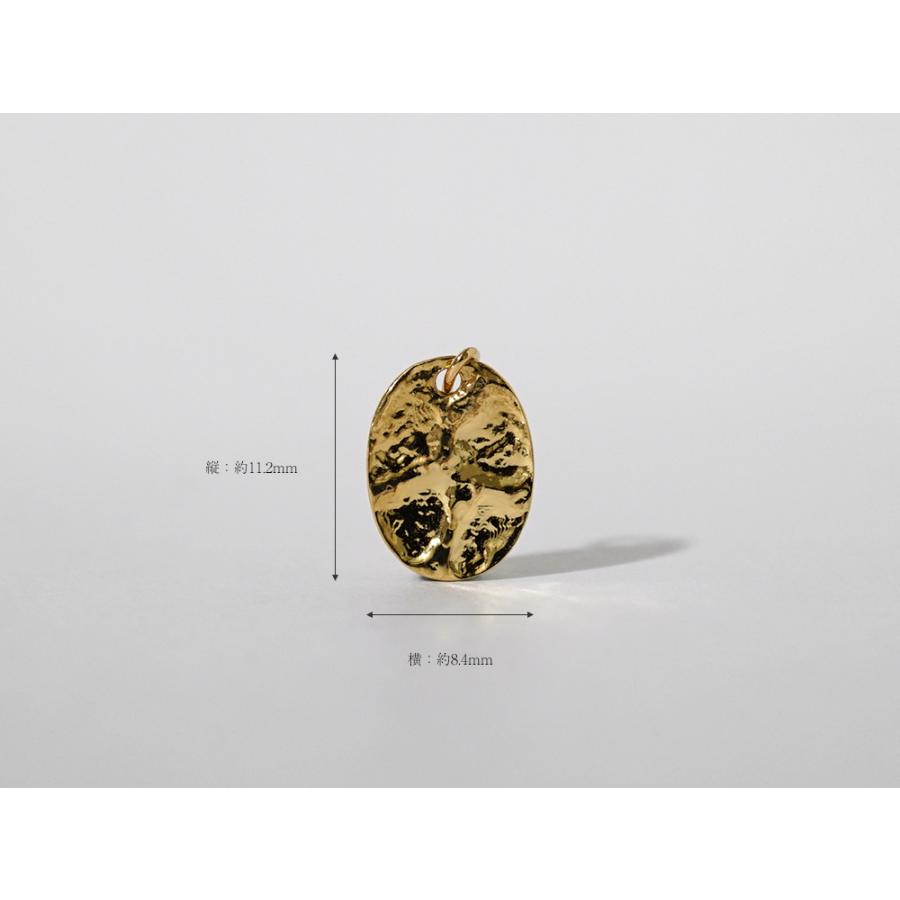 K18 ヒョウリ ペンダントトップ レディース プレート コイン リバーシブル 表 裏 オーバル 地金 18K 18金 Pt プラチナ rph63493921の画像