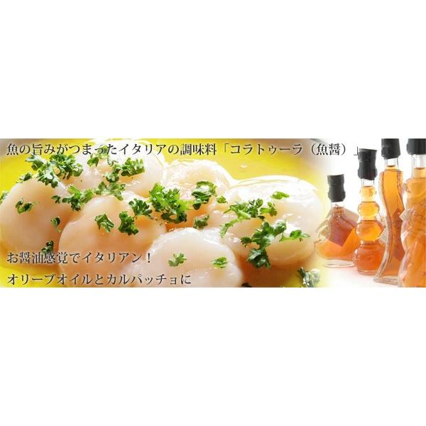 香味・薬味野菜 delfino 魚醤＞デルフィノ コラトゥーラ・ディ・アリーチ 40ml Delfino デル