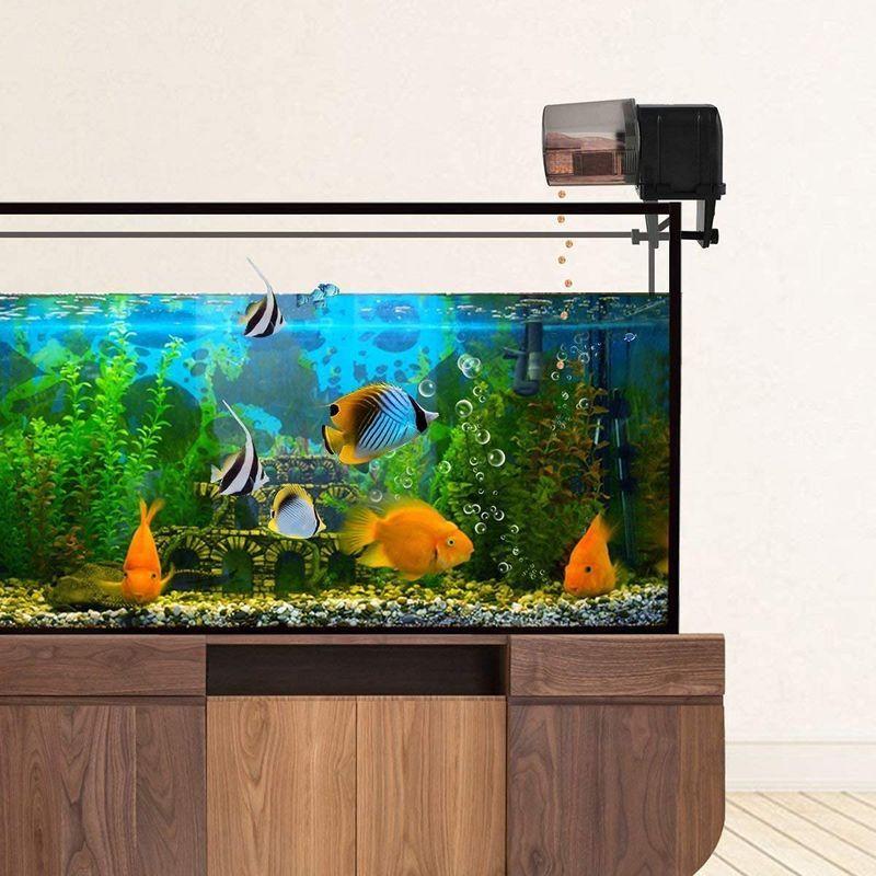 Ycozy Ilonda ボイジャーシリーズ Wifiの魚自動給餌器 Usb電源停電の心配なし 水族水槽用タイムフィーダー 熱帯魚 金魚オ ラッピーモール 通販 Yahoo ショッピング
