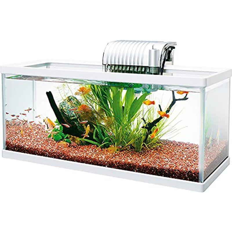 柔らかな質感の テトラ Tetra 30cm水槽ット ペット用品 Www Petromindo Com