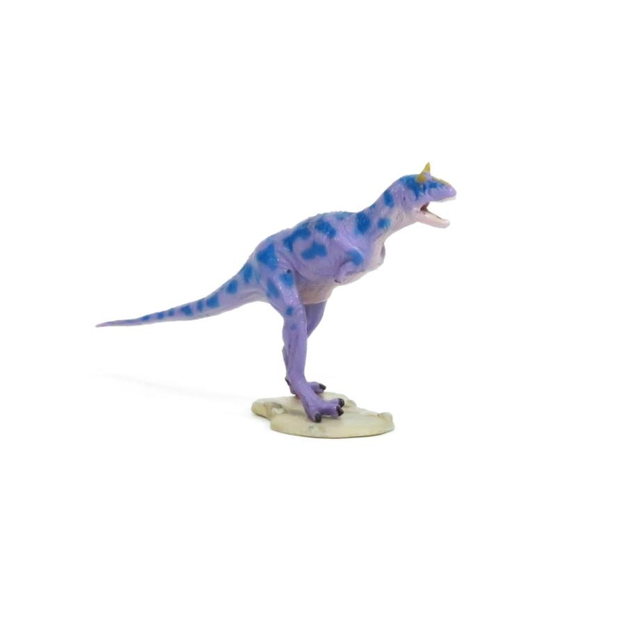 恐竜ソフトモデル カルノタウルス ソフトモデル FDW-017 Favorite フェバリットフィギュア｜raptors｜05