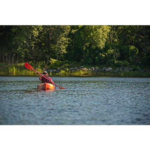 お買い得！ カーライルパドルマジックミスティックカヤックパドルポリプロピレン刃とアルミシャフト付き240 cm-シーグラス 【2829256461】(16537円)