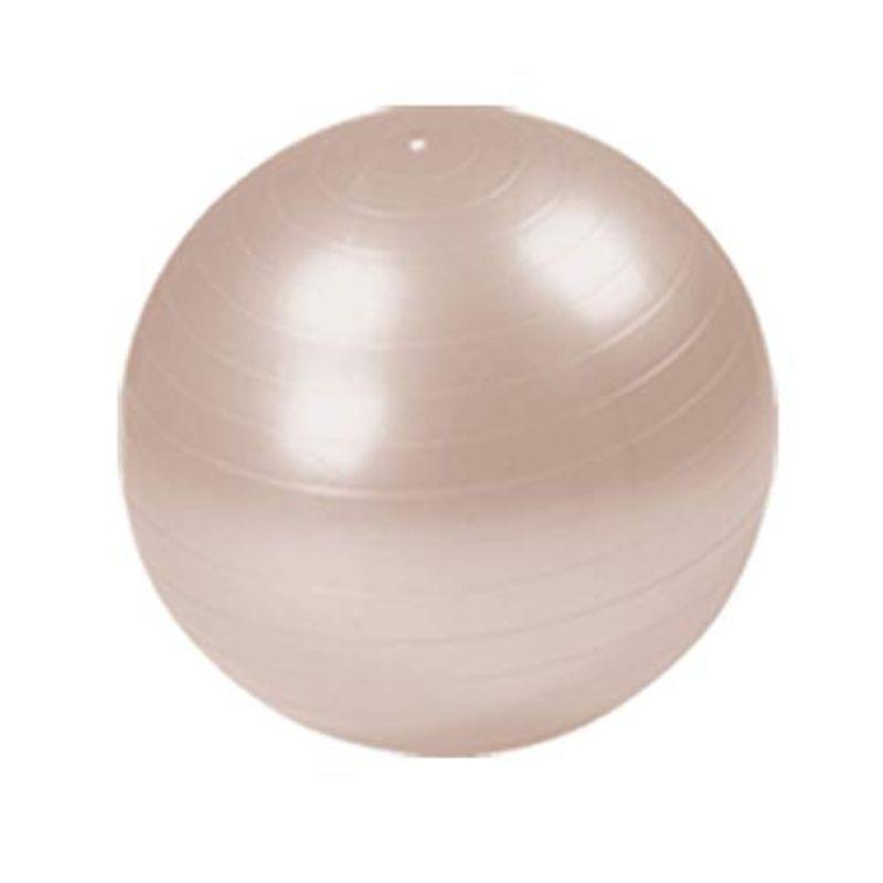 バランスボール アンチバースト 55cm ポンプ付 シャンパンゴールド 光沢 かわいい新作
