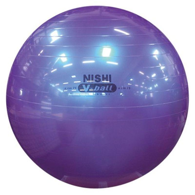 NISHI(ニシ・スポーツ) バランスボール ノンバーストVボール 75 NT5874C