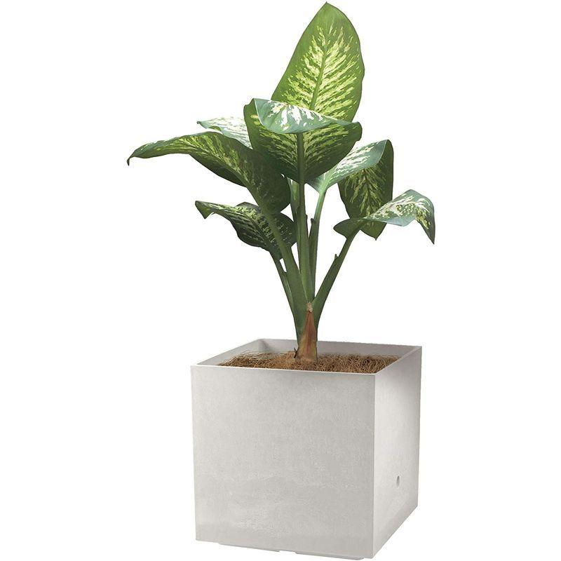 専用出品 リッチェル 大型プランター 陶器風 ホワイト 45×45×45cm ラヴィーレWS キューブ 45型 底面給水機能付き 709002 【2654038588】(15520円)