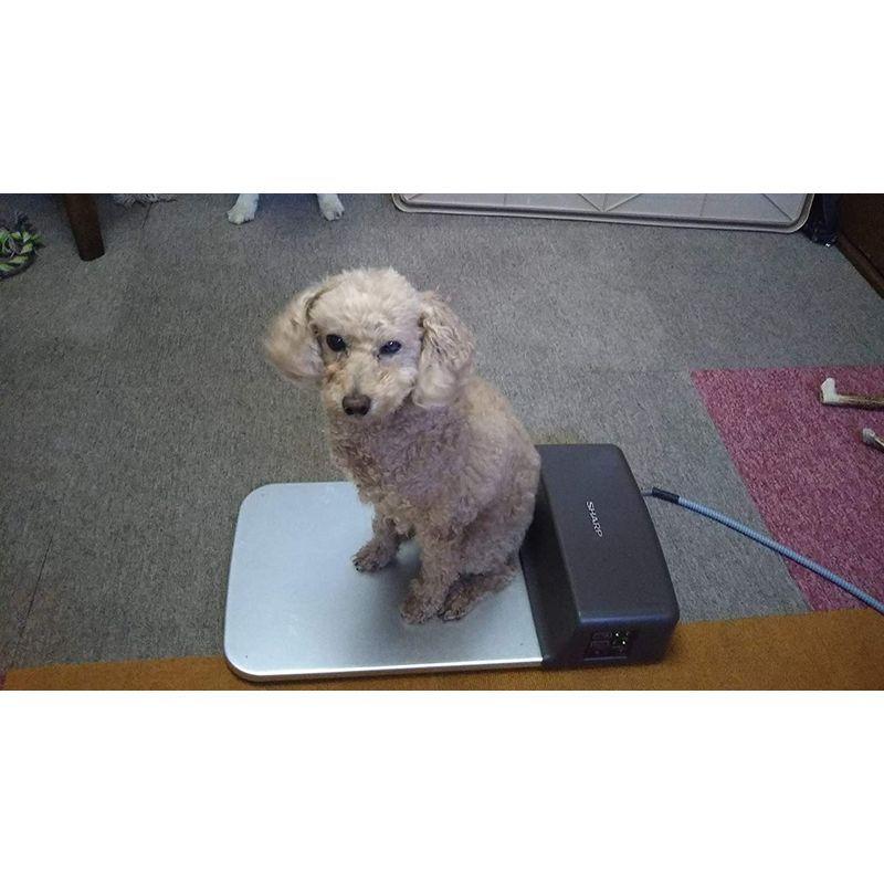 中古 シャープ 冷暖プレート 【O2146983053】(12555円)