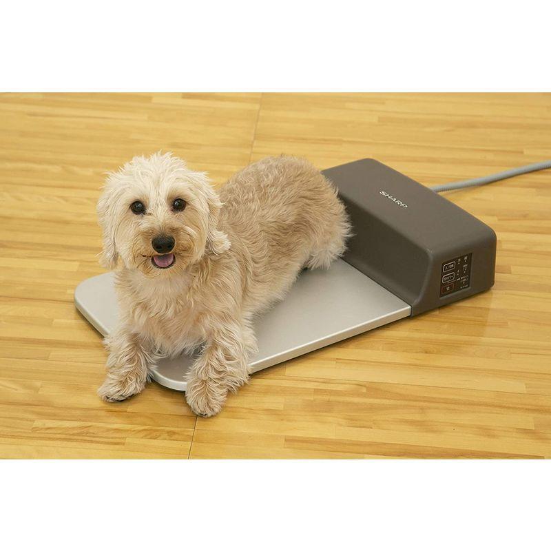 中古 シャープ 冷暖プレート 【O2146983053】(12555円)