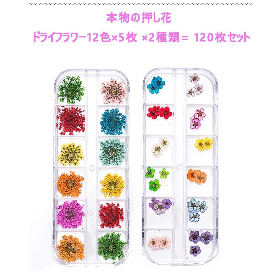 送料無料 本物の押し花 ネイルドライフラワーネイルパーツ12色 5枚 2種類 大容量1枚セット透明収納ケース付き埋め込み用 3dネイル レジンデコ Neiruset Raraland 通販 Yahoo ショッピング