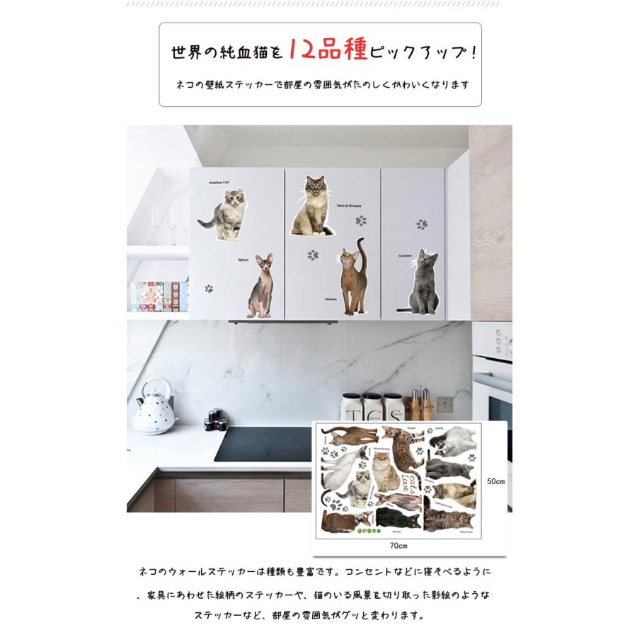 送料無料 ウォールステッカーねこ かわいい 猫 ペット 動物 トリックアート 絵画 ネコ絵 キャット フレンド ３d シール だまし絵 ビックリ びっくり ウォール T Wallsetto010 Raraland 通販 Yahoo ショッピング
