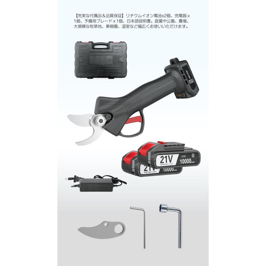 充電式剪定バサミ 剪定ばさみ 電動 ケース付き 園芸用 コードレス 充電