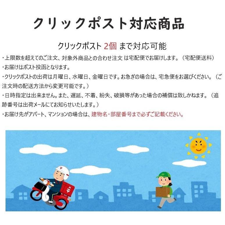 ポケモン ダイカットマグネット イーブイ 【2個までクリックポスト