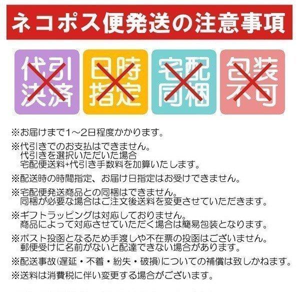 メガネケース おしゃれ スリム ストラップ付 メガネ サングラス 薄型 軽量 旅行 送料無料 レアリーク｜rareleak｜24