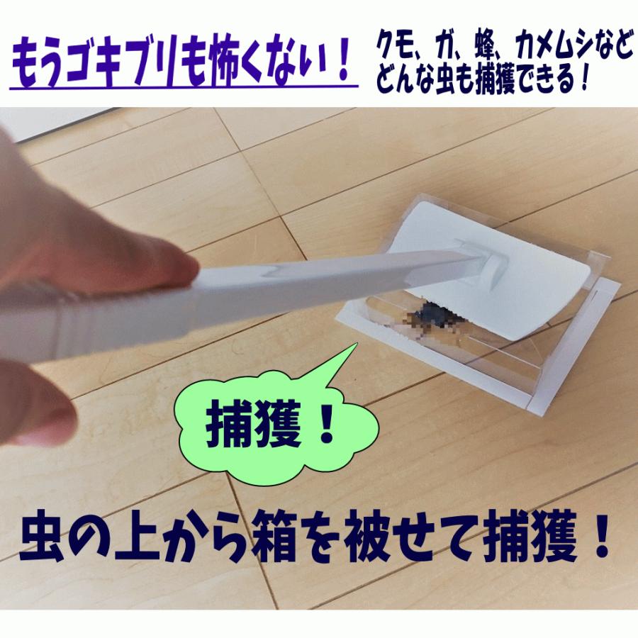 日本産 オレンジフラミンゴコストコ 商品券 5 000円分 贈答用 プレゼント カークランド Catedraldeniteroi Com Br