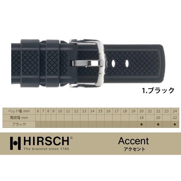 ヒルシュ/アクセント×Dバックルセット商品