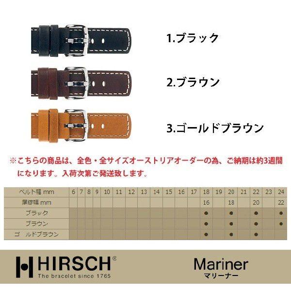 【1，500円OFF!!!】ヒルシュ/マリーナ×Dバックルセット商品