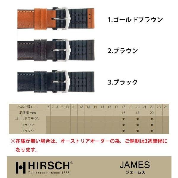 1,500円OFF!!!】ヒルシュ/ジェームス×Dバックルセット商品