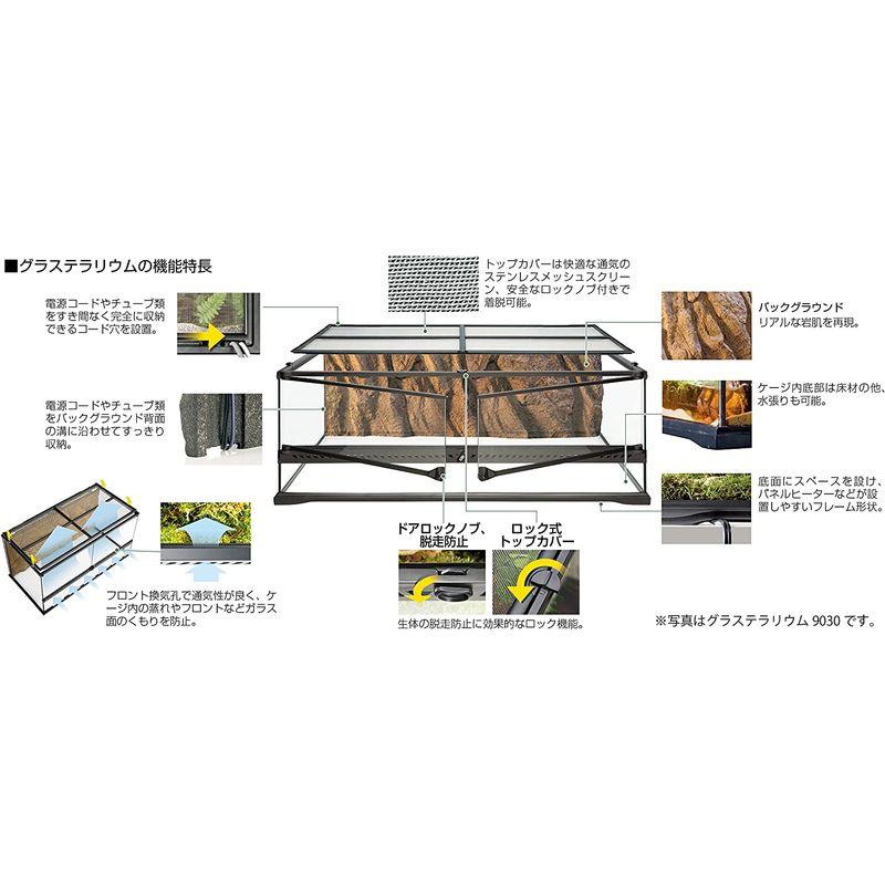 ジェックス エキゾテラ グラステラリウム 3030 GEX EXOTERRA グラス