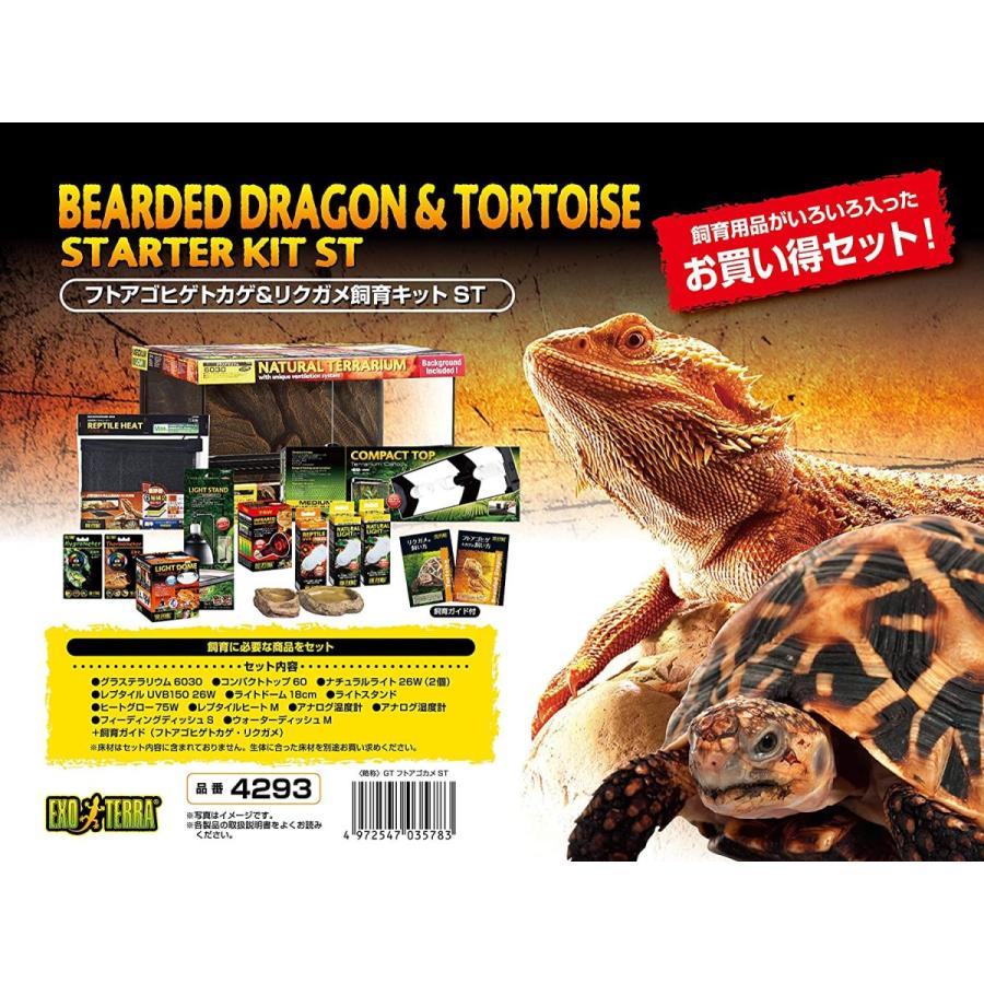 安いそれに目立つ ジェックス 水槽 フトアゴヒゲトカゲ リクガメ飼育キット 爬虫類用ガラスケージ 12点セット ヒーター付 W61 5 D46 5 H33cm 最終値下げ Sipeka Smknpuspahiang Sch Id