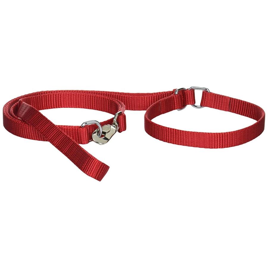 最大64 Offクーポン キンペックス 犬用訓練リード フラットンマーチンゲルリード 赤 40 Shipsctc Org