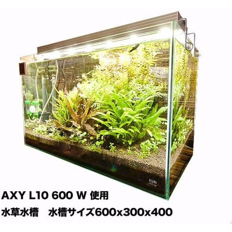 アクアシステム AXY L10 600 W アクアシステム AXY L10