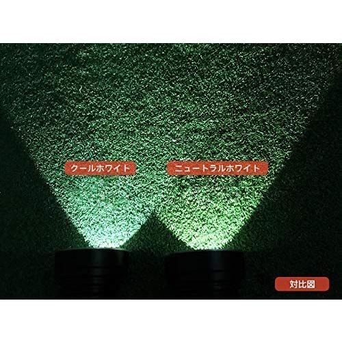 ThruNite TN50 懐中電灯 LEDハンディライト スーパーブライト 充電式フラッシュライト CREE XHP70.2 LED*4 ThruNite TN50 懐中電灯 LEDハンディライト スーパーブライト 充電式フラッシュライト CREE XHP70 LED*4