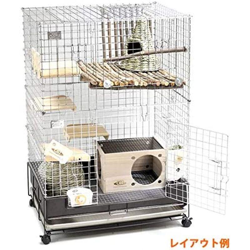 コンフォート60 チンチラスペシャル コンフォート60 チンチラスペシャル